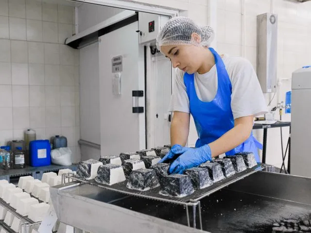 Élelmiszeripari dolgozó minőségellenőrzést végez a csomagolás előtt